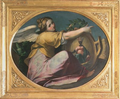 Íris de Gaspare Venturini